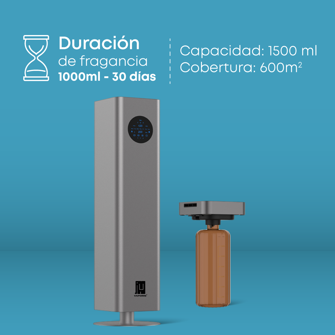 Box Majestad Ambiental - Imagen 3