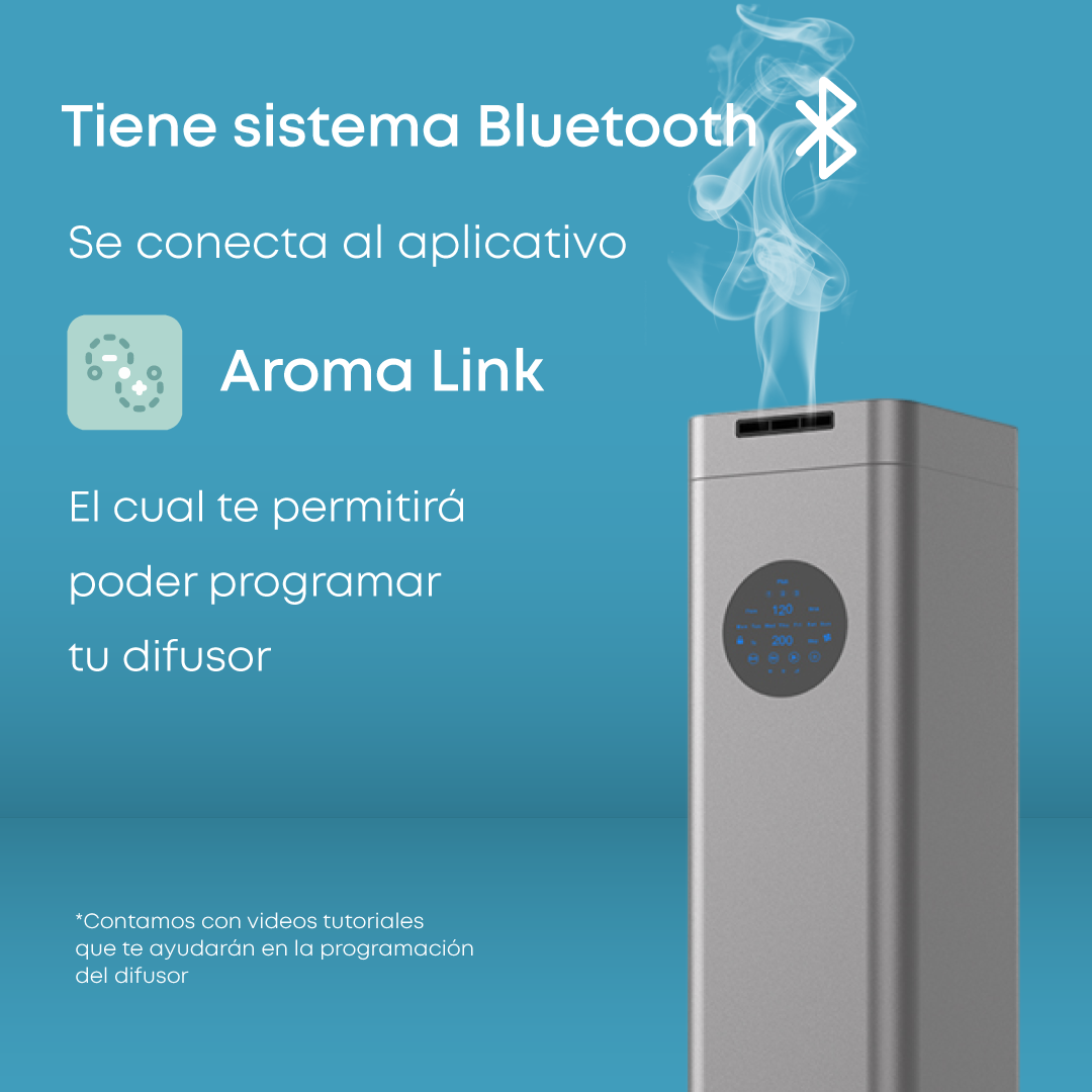 Box Majestad Ambiental - Imagen 2